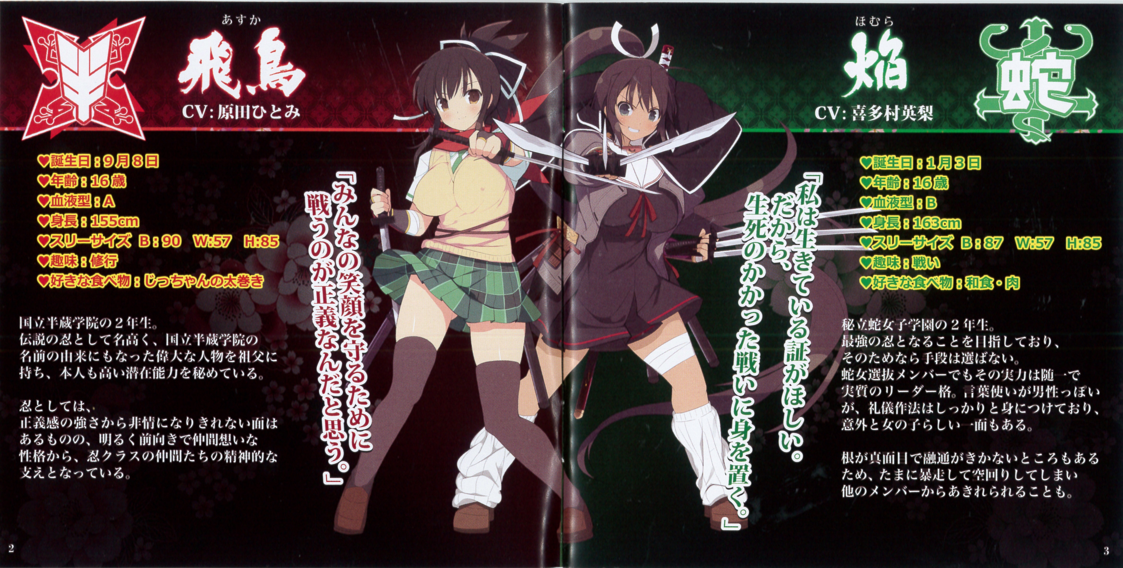 Senran Kagura Original Soundtrack -Shin'ei/Guren/Shinku